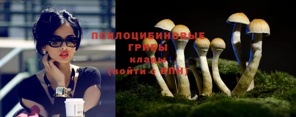 тгк Абаза