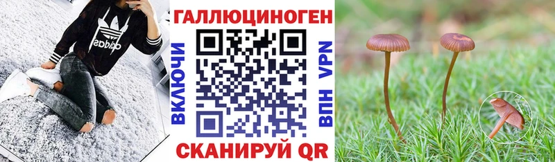 Псилоцибиновые грибы прущие грибы  Назрань 